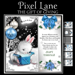 The Gift of Giving