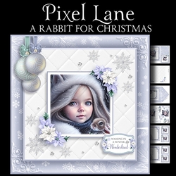 A Rabbit for Christmas