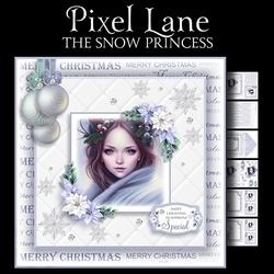 The Snow Princess