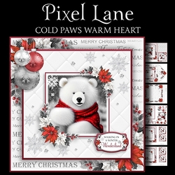 Cold Paws Warm Heart