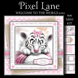 Welcome to the World (Girl)