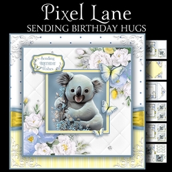 Sending Birthday Hugs