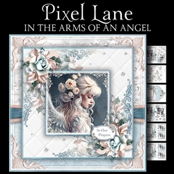In the Arms of an Angel