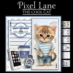 The Cool Cat