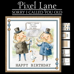 Sorry I Called You Old