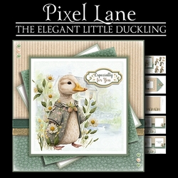 The Elegant Little Duckling