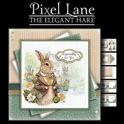 The Elegant Hare