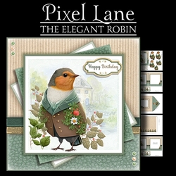 The Elegant Robin
