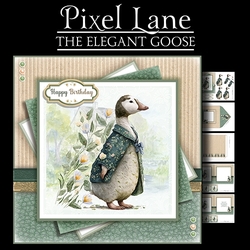 The Elegant Goose
