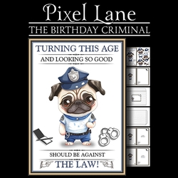 The Birthday Criminal