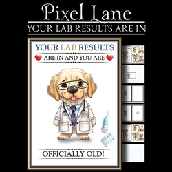 Your Lab Results Are In