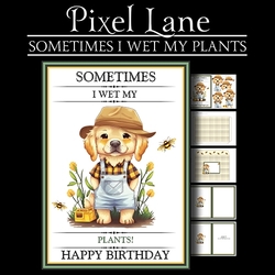 Sometimes I Wet my Plants!