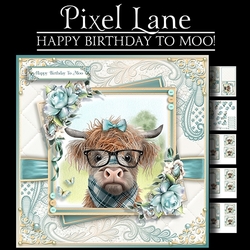 Happy Birthday To Moo!