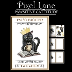 Pawsitive Cattitude