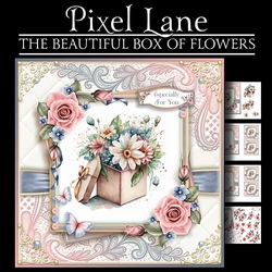 The Beautiful Box Of Flowers