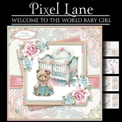 Welcome to the World Baby Girl