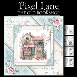 The Old Bookshop