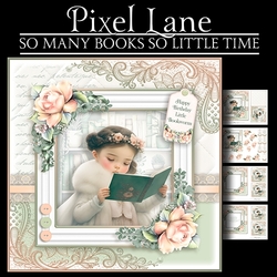 So Many Books So Little Time!