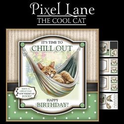 The Cool Cat