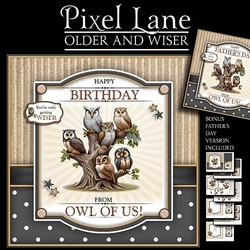 Older and Wiser