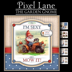 The Garden Gnome