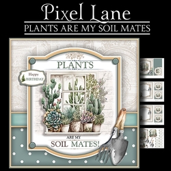 Plants Are My Soil Mates!
