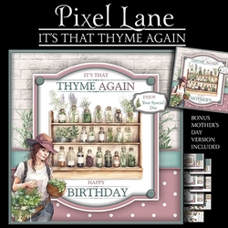 Its That Thyme Again (Female)