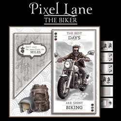 The Biker