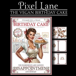 The Vegan Birthday Cake