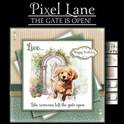 The Gate Is Open! (Golden Retriever)
