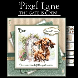 The Gate Is Open! (Dachshund)