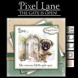 The Gate Is Open (Pug)