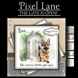 The Gate Is Open (German Shepherd)