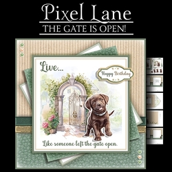 The Gate Is Open (Chocolate Lab)
