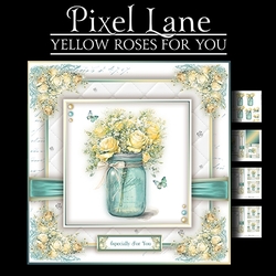 Yellow Roses For You