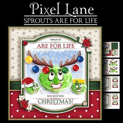 Sprouts are for Life Not Just for Christmas!