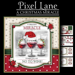 A Christmas Miracle!