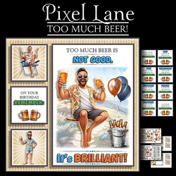 Too Much Beer!