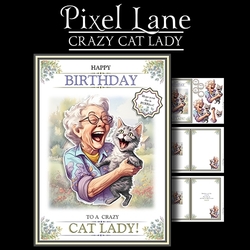 Crazy Cat Lady