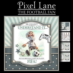 The Football Fan