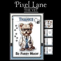 The Vet