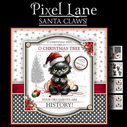 Santa Claws!