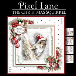 The Christmas Squirrel