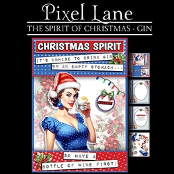 The Spirit Of Christmas - Gin