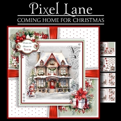 Coming Home For Christmas
