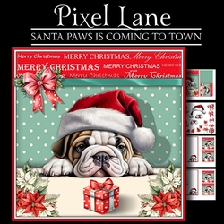 Santa Paws Is Coming To Town