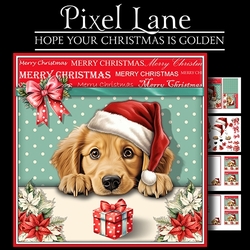 Hope Your Christmas Is Golden