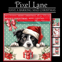 Hope Your Christmas Is Barking Mad!