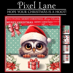 Hope Your Christmas Is A Hoot!