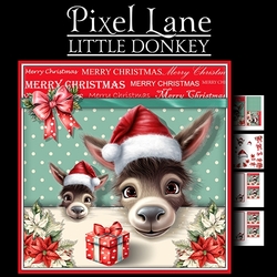Little Donkey